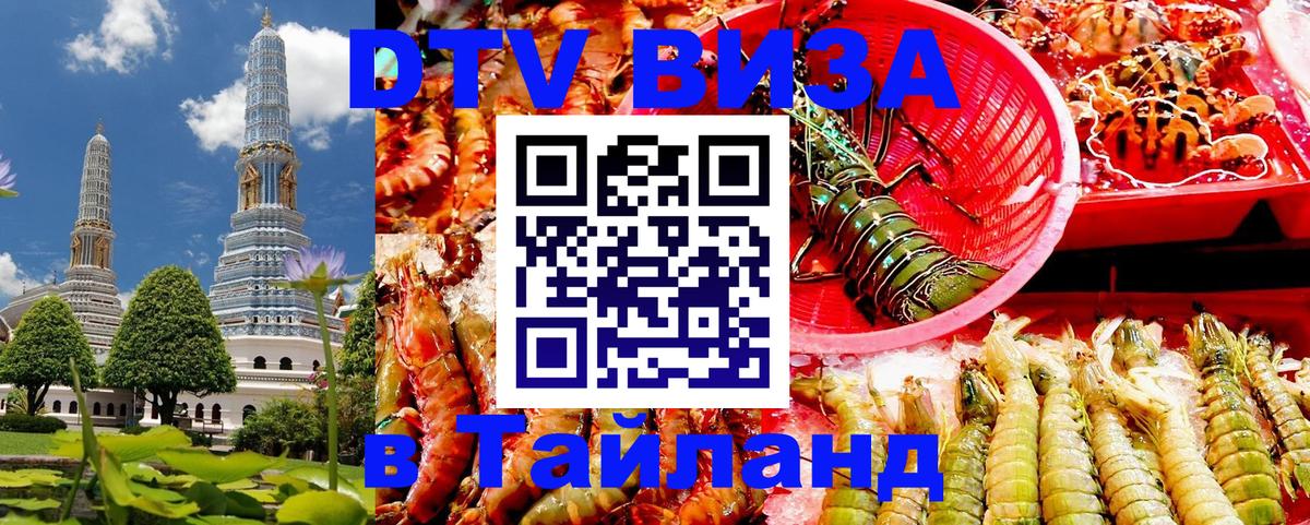 Оформление DTV визы под ключ: стоимость и тарифы, только загранпаспорт - Королёв  19.11.2025 